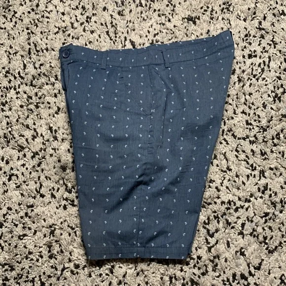 Public Record Men’s Blue Palm Tree Print Ligjtweight Shorts Size 32 - Picture 8 of 9